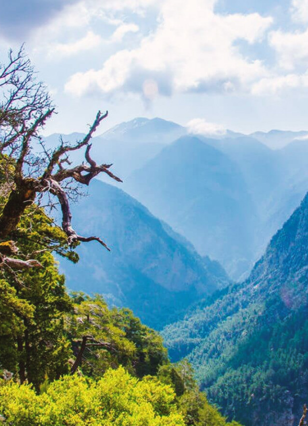 environmental_contribution