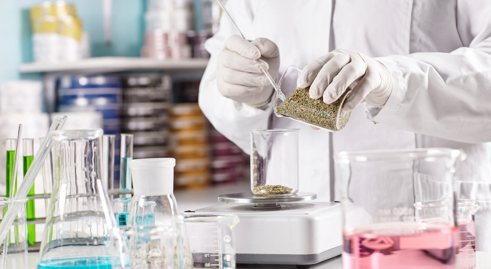 Fully Equiped, “State of the Art” Laboratory