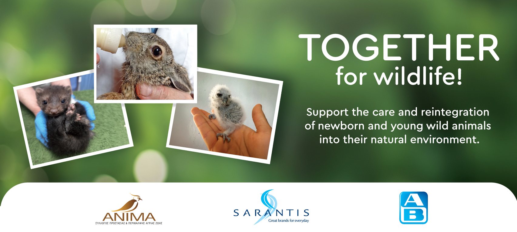 TOGETHER for Wildlife!”: New Corporate Social Responsibility Initiative by Sarantis Group